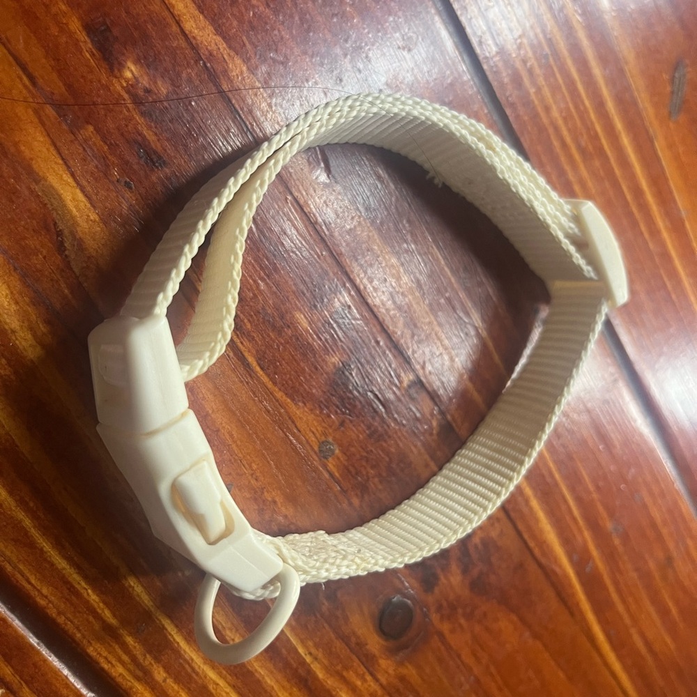Cream Dog Collar